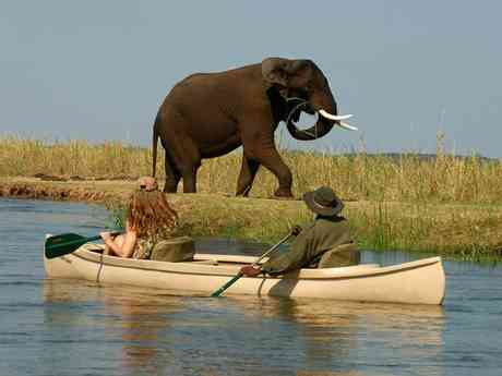 Effortless Lower Zambezi